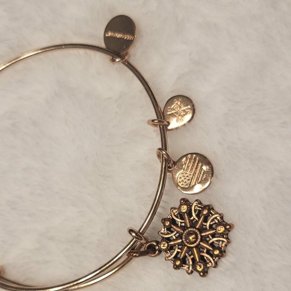 Alex and Ani Compass RARE Adjustable Like New - Picture 2 of 4